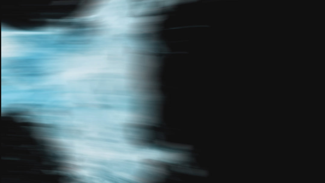 The Complete Transition Bundle [NEW]